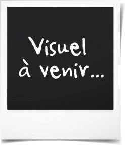 Intex Prime Comfort - Luchtbed - 1-Persoons - 99x191x51 Cm (BxLxH) - Grijs - Met Ingebouwde Motorpomp -Outdoor Camping Shop 1031x1200 2