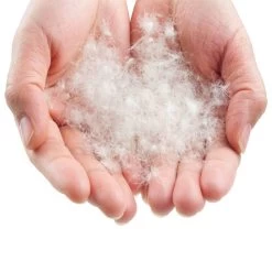 Lowland Outdoor Companion Summer Slaapzak - Dekenmodel Slaapzak - 210 X 80 Cm - Groen -Outdoor Camping Shop 1200x1200 251