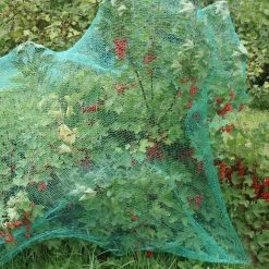 Relaxdays 200x Gronddoekpen - Grondanker - Haring - Gronddoekhaak - Grondhaken - 2mm 12 Relaxdays 200x Gronddoekpen - Grondanker - Haring - Gronddoekhaak - Grondhaken - 2mm -Outdoor Camping Shop 1200x1200 667