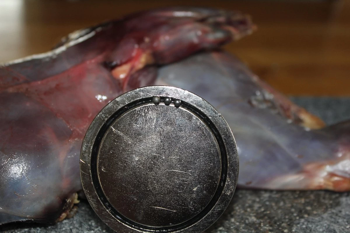 【JACHTMAGNEET / HAGELMAGNEET 】– Jacht Accessoires 2020 – Hagel Verwijderaar – Jagers Cadeau - Wild Magneet 5 【JACHTMAGNEET / HAGELMAGNEET 】– Jacht Accessoires 2020 – Hagel Verwijderaar – Jagers Cadeau - Wild Magneet - Afbeelding 3