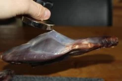 【JACHTMAGNEET / HAGELMAGNEET 】– Jacht Accessoires 2020 – Hagel Verwijderaar – Jagers Cadeau - Wild Magneet 11 【JACHTMAGNEET / HAGELMAGNEET 】– Jacht Accessoires 2020 – Hagel Verwijderaar – Jagers Cadeau - Wild Magneet -Outdoor Camping Shop 1200x800 16