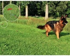 PROPLUS Pro Plus Aanlegspiraal - Hondenpen Met Handvat En Ring - Lengte 39 Cm -Outdoor Camping Shop 1200x959 2